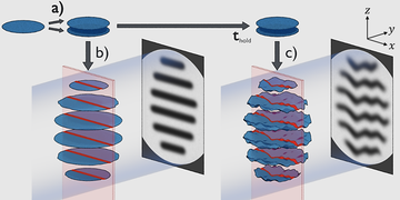 An experimental scheme to observe non-equilibrium dynamics of 2D gases via matter wave interference.