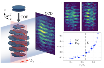 Universal scaling of the dynamic BKT transition in quenched 2D Bose gases