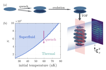 An experimental scheme to observe non-equilibrium dynamics of 2D gases via matter wave interference.